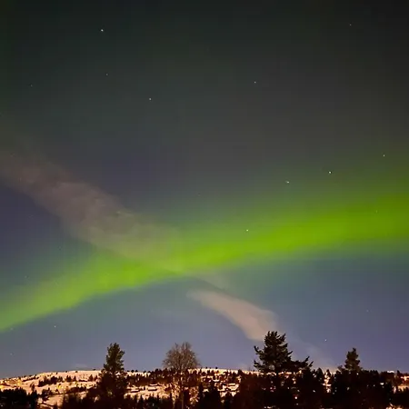 New And Cozy Family On *