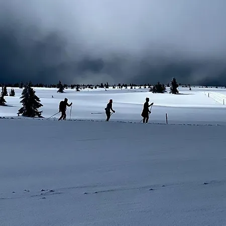 New And Cozy Family On