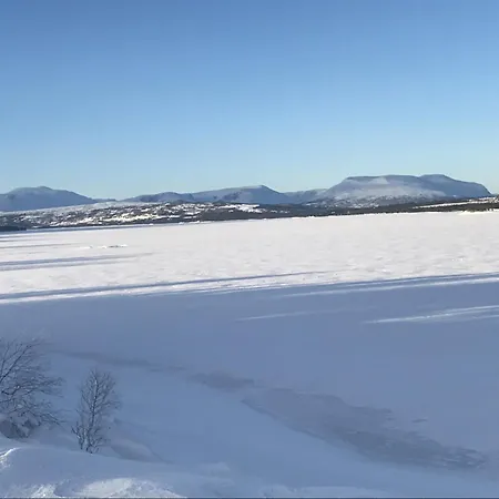 New And Cozy Family On *