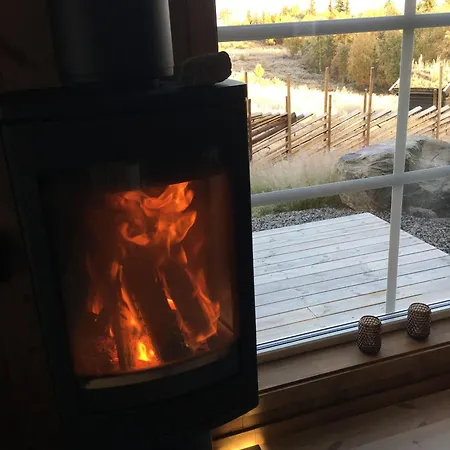 New And Cozy Family On