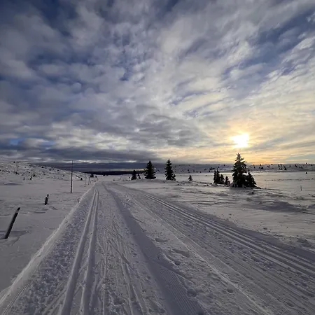 New And Cozy Family On Golsfjellet