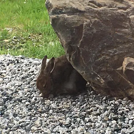 New And Cozy Family On