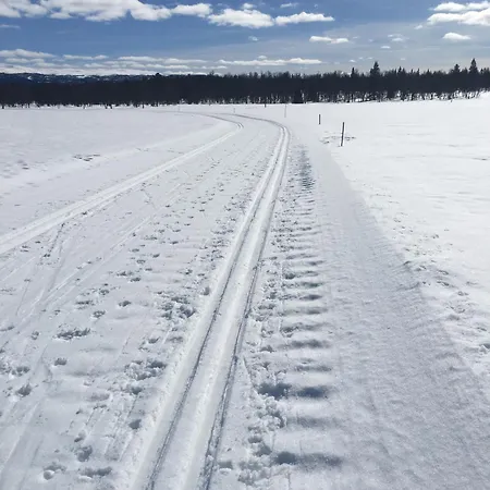 New And Cozy Family On *