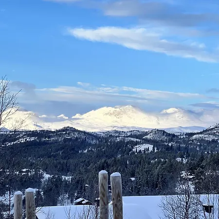 New And Cozy Family On *