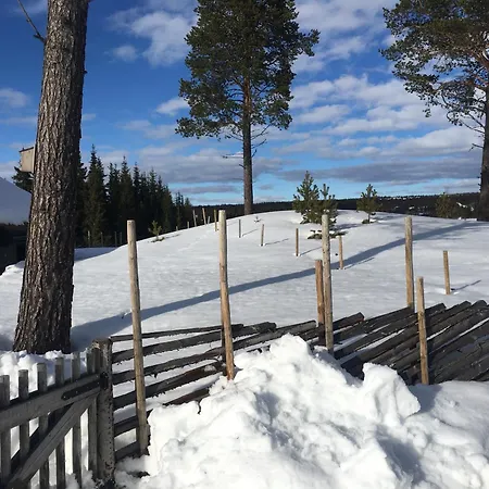 New And Cozy Family On Golsfjellet