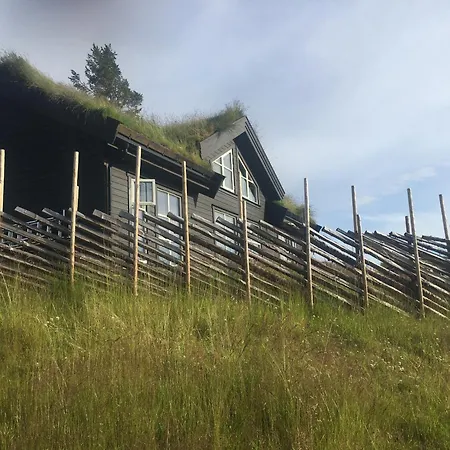 New And Cozy Family On