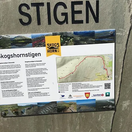 New And Cozy Family On * Golsfjellet