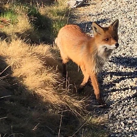 Дом отдыха New And Cozy Family On