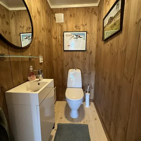 New And Cozy Family On