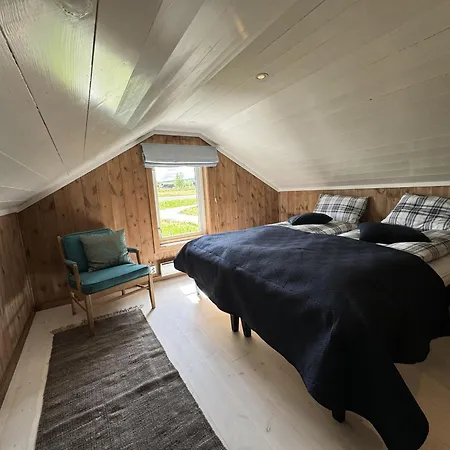 New And Cozy Family On *