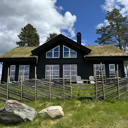 New And Cozy Family On