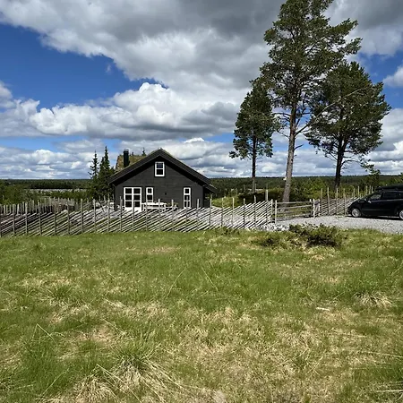 New And Cozy Family On Holiday home Golsfjellet