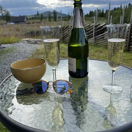 New And Cozy Family On * Golsfjellet