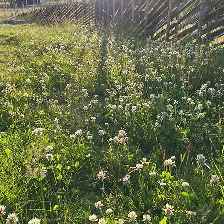 Дом отдыха New And Cozy Family On *