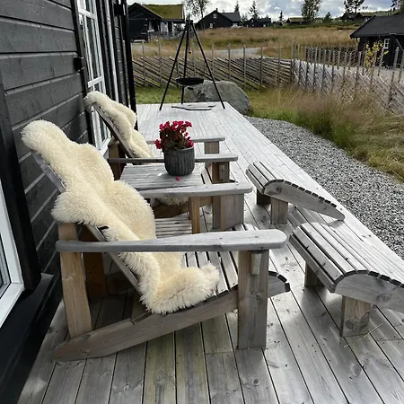 New And Cozy Family On *