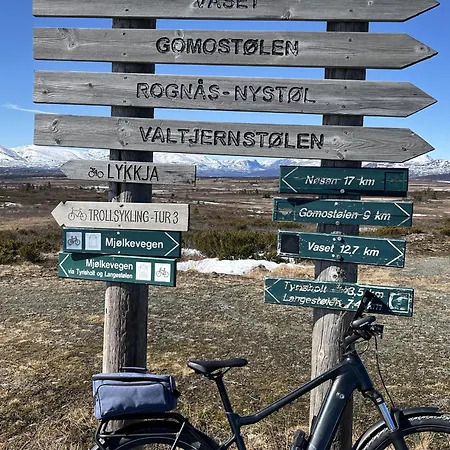 New And Cozy Family On * Golsfjellet
