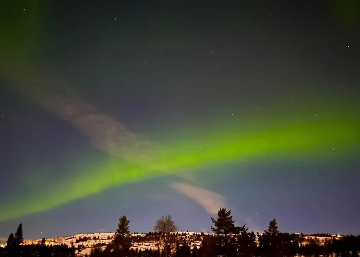 New And Cozy Family On *