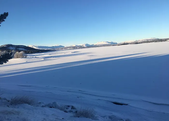 Ferienhaus New And Cozy Family On