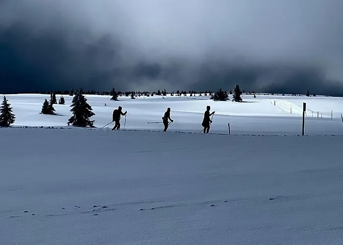 New And Cozy Family On