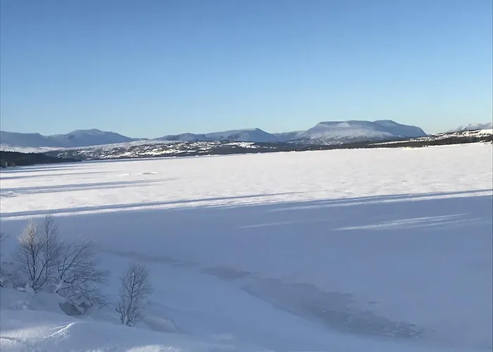 New And Cozy Family On *