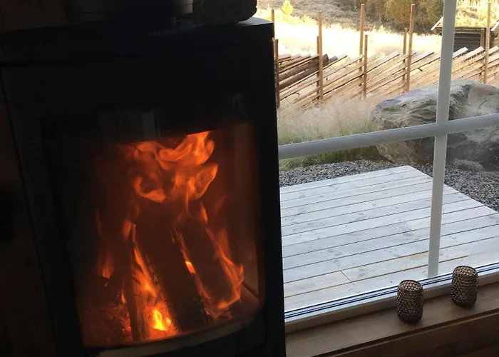 New And Cozy Family On