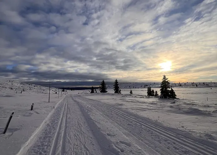 New And Cozy Family On Golsfjellet