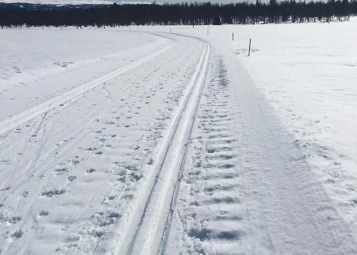 New And Cozy Family On *