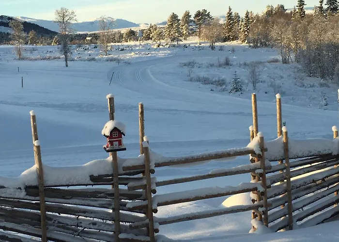 Ferienhaus New And Cozy Family On *