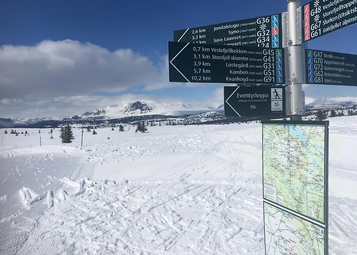 Ferienhaus New And Cozy Family On *