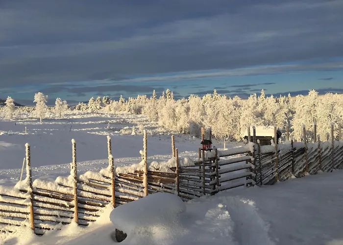New And Cozy Family On * Golsfjellet
