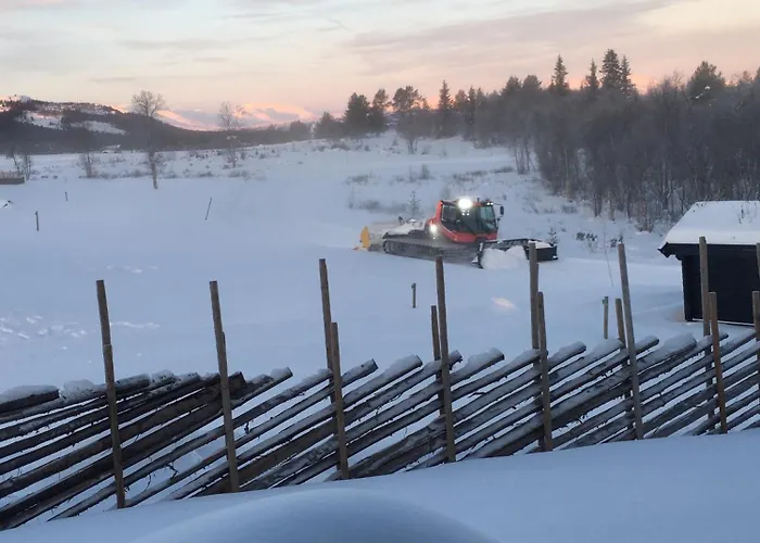 Ferienhaus New And Cozy Family On Golsfjellet