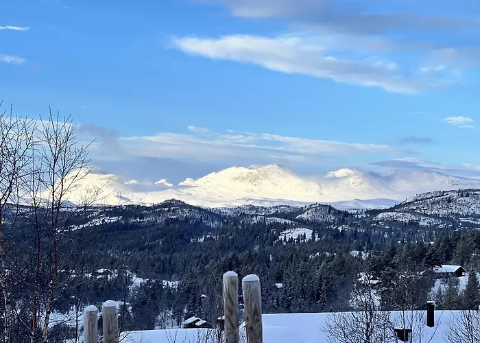 New And Cozy Family On *