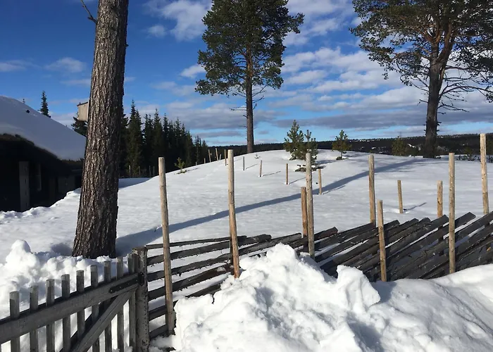 New And Cozy Family On Golsfjellet