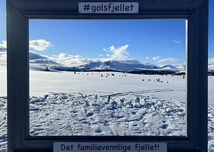 New And Cozy Family On Golsfjellet
