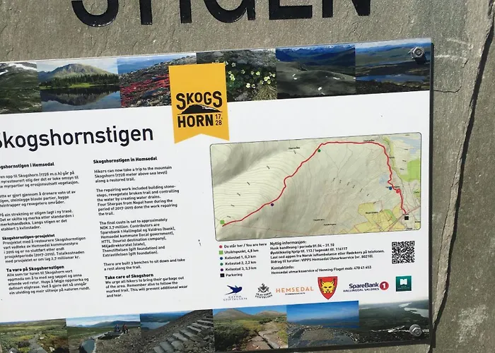 New And Cozy Family On * Golsfjellet