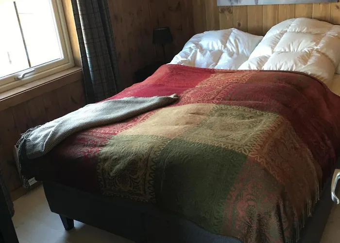 New And Cozy Family On *