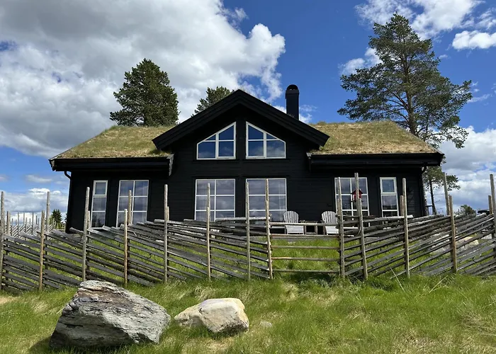 New And Cozy Family On