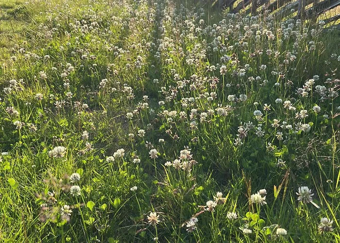 Ferienhaus New And Cozy Family On *