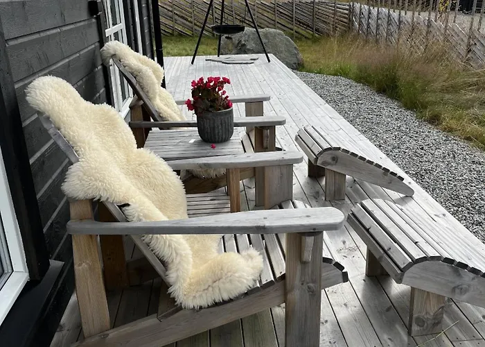 New And Cozy Family On *