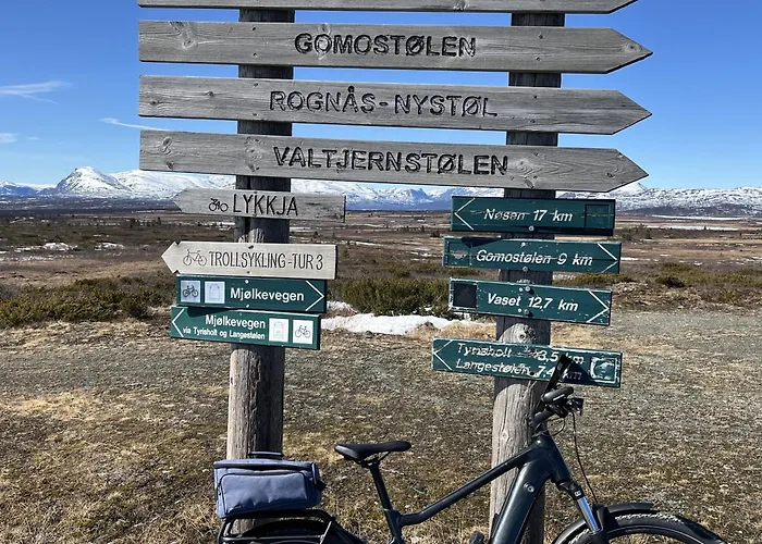 New And Cozy Family On * Golsfjellet