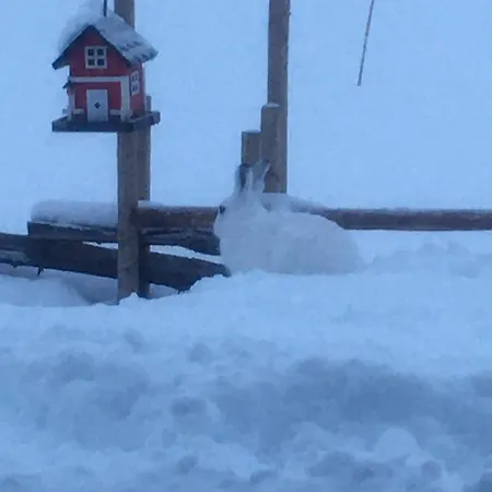 New And Cozy Family On 펜션 Golsfjellet